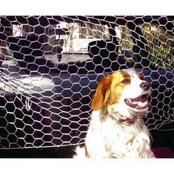 Green Valley 123863 Retina per Cane
