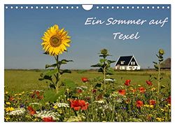 Ein Sommer auf Texel (Wandkalender 2026 DIN A4 quer), CALVENDO Monatskalender: Ein fotografischer Sommerspaziergang auf Texel
