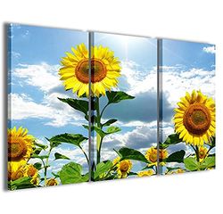 Stampe su Tela Foto Sunflower VI zonnebloem-doek uit 3 panelen, kant-en-klaar ingelijst, canvas, klaar om op te hangen, 90 x 60 cm