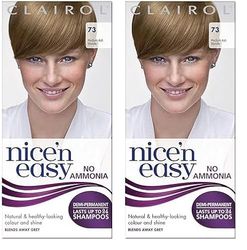 Clairol Nice'n Easy No Ammonia Hair Dye, 73 Ash Blonde (Pack of 2)