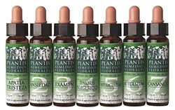 ART. AGRICOLA Plantis 32 Vid 10 ml