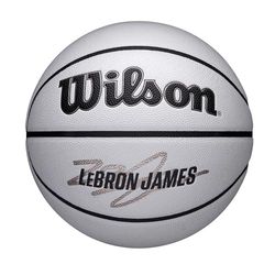 Wilson NBA Speler Icoon UV BSKT Lebron