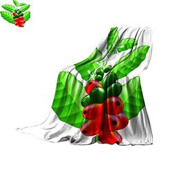 ALLMILL Queen Size Blanket frukter och blommor av kaffeträd kasta vit 70 tum x 60
