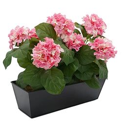 GreenBrokers Artificial Pink Hydrangea Flower Bush in Black Tin Window Box (45cm) with Nine Flower Clusters for Home or Outdoor Living
