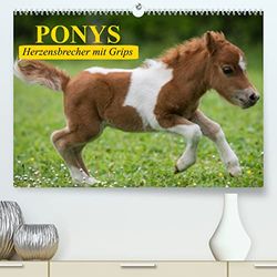 Ponys. Herzensbrecher mit Grips (hochwertiger Premium Wandkalender 2024 DIN A2 quer), Kunstdruck in Hochglanz: Süße Frechdachse mit Löwenherz