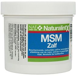 NAF NaturalintX MSM Ointment, 250 g (Pack of 1)