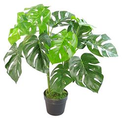 Leaf Vaso artificial para monstros (80 cm), preto