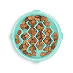 Outward Hound Fun Feeder Slo-Bowl - Comedero con obstáculos para perros - Verde menta - Pequeño/extrapequeño