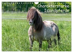 Charakterstarke Islandpferde (Wandkalender 2024 DIN A4 quer), CALVENDO Monatskalender