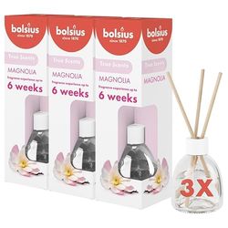 Bolsius True Scents 3 pezzi diffusore a bastoncini, Magnolia, 60 ml, Profumazione fino a 6 settimane