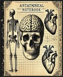 Composition Notebook College Ruled: Human Anatomy Vintage Medical Illustration | Skull Skeleton Med School Student Gift Journal | Wide Lined