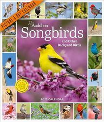 Audubon Songbirds and Other Backyard Birds Picture-A-Day® Wall Calendar 2025