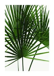 Komar Muurafbeelding | Palmtree Leaves | Poster, Afbeelding, Woonkamer, Slaapkamer, Decoratie, Kunstdruk | Zonder lijst | P061-50x70 | Grootte: 50 x 70 cm (breedte x hoogte)