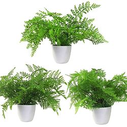 Leaf Design UK Artificial Realistic Potted House Plants,30cm