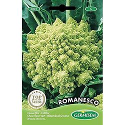 Germisem graines Chou-fleur vert ROMANESCO