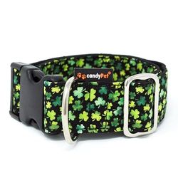 candyPet® Click Dog Collar - Patrick