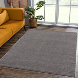 SANAT Tapis de Salon, à Poils Courts, Couleur Unie, Moderne, pour Chambre à Coucher, étude, Bureau, Couloir, Chambre d'enfant et Cuisine, Gris, 120 x 170 cm