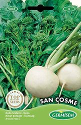 Germisem San Cosme Bieten Zaden 20 g
