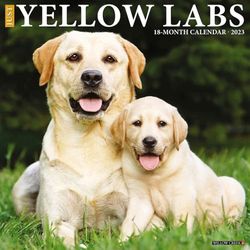 Just Yellow Labs 2023 Wall Calendar