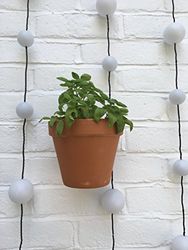 Nutley's Terracotta plantenpot met hangende muurbeugel (2)