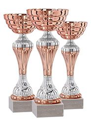 DEPICE Coppa Serie, Rosso/Argento, 20-25 cm, TRO-FS-1501