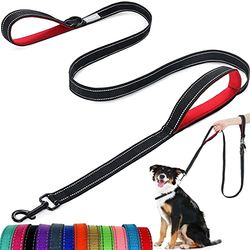 Hondenriem - met twee gewatteerde handgrepen, twee hondengeleiders, dubbelzijdige reflecterende nylon hondenriem voor training en wandelen, perfect voor kleine honden