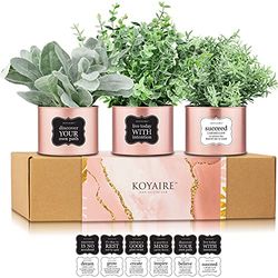 KOYAIRE 3 Motivational Faux Desk Plants for Office - Rose Gold Office Decor for Women - Small Desk and Home Office Accessories - Desk Decorations for Women Office - Pink Office Gifts for Women