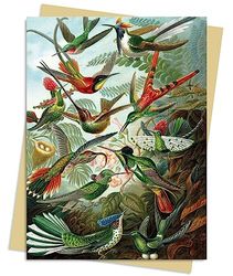 Ernst Haeckel: Hummingbirds Greeting Card Pack: Pack of 6