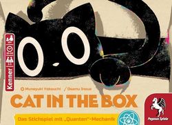Pegasus Cat in The Box