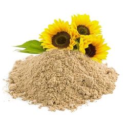 Lecitina De Girasol En Polvo 20Kg Sin Gluten