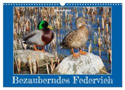 Bezauberndes Federvieh (Wandkalender 2025 DIN A3 quer), CALVENDO Monatskalender: Gänse, Enten und Schwäne in Ihrem Element