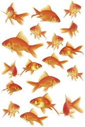 Kleine Wolke 1913488836 Pared Fish Colour Naranja 15 x 23,5 cm
