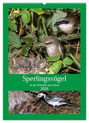 Sperlingsvögel an der Schwelle zum Leben (Wandkalender 2026 DIN A2 hoch), CALVENDO Monatskalender: Entdecken Sie das Leben der Sperlingsvögel