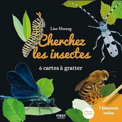 Cartes à gratter - Cherchez les insectes: 6 cartes à gratter et 1 bâtonnet inclus