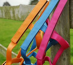 Rhinegold Field Safe Headcollar-COB-Raspberry Cuello de Cabeza, Frambuesa