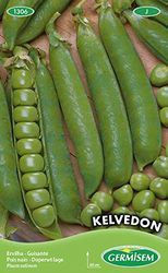 Germisem Kelvedon Semi di Piselli 100 g