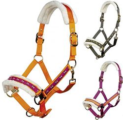 HKM Allure Cheval Licol de canneberge pur-sang