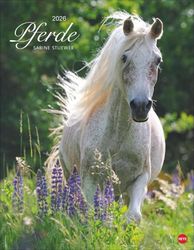 Pferde Classics Posterkalender 2026: Die Eleganz der Tiere in einem Kalender im Posterformat eingefangen von Sabine Stuewer. Hochwertiger Fotokalender für Pferdefreunde.