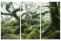 Art Group The Wistman's Wood, Dartmoor David Clapp, Stampe da Parete su Tela, Multicolore, 10 x 150 x 1,3 cm