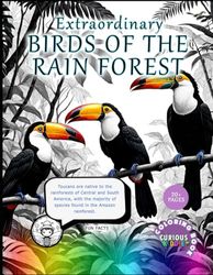 Extraordinary Birds of the Rain Forest, Toucans, Macaws, Kingfishers and Bee-eaters: Educational Coloring Book: Children's Bird Coloring Book