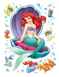 AG Design - Autocolantes de parede Disney - autocolante para princesas Disney, vinil decorativo, 42,5 x 65 cm, 1 parte - DK 1755