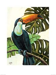 Louise Brown Tropische Toucan Art Prints, Multicolor, 60 x 80cm