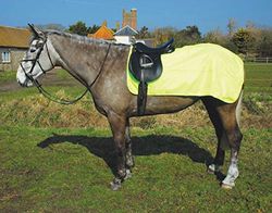 Rhinegold Waterproof 3/4 Impermeabile Ride On Giallo Brillante Unisex-Adulto, Full (60")