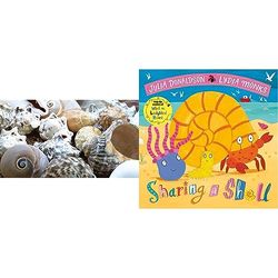 Baker Ross AG848 Large Natural Sea Shells, Ideal for Arts and Crafts Projects, School Summer Collages and Create Your Own Activities (Pack of 500g), Assorted & Sharing a Shell