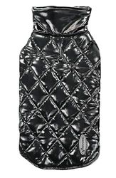 Record - Manteau imperméable Gabrielle pour Chiens, élégant avec intérieur en Molleton et Finition Brillante, Fermeture à déchirure, Trou de Laisse, protège Contre la Pluie et Le Froid, Confort