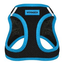 Best Pet Supplies Voyager Step-in Air - Arnés de Malla para Perros, Apto para Todo Tipo de Clima, Tipo Chaleco y fácil de Poner, para Perros pequeños y medianos, Borde Azul, Talla XS