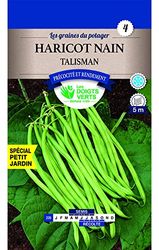 LES DOIGTS VERTS - Haricot NAIN Talisman- 007220