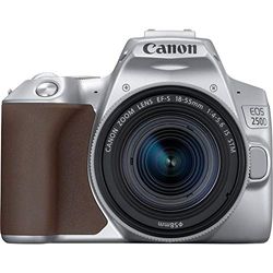 Canon EOS 250D + EF-S 18-55mm f/4-5.6 IS STM Kit fotocamere SLR 24,1 MP CMOS 6000 x 4000 Pixel Argento