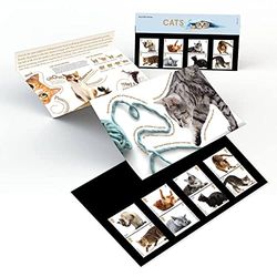 Official Royal Mail Cats Stamps in Affixed Presentation Pack from Royal Mail. Cat Lovers' Collectible Gift, Sky Blue