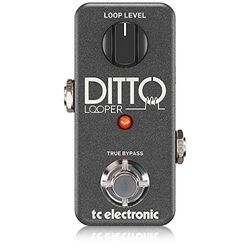 TC Electronic Ditto Looper Pedale Looper altamente intuitivo con 5 minuti di tempo di loop, analogico-Dry-Through e True Bypass